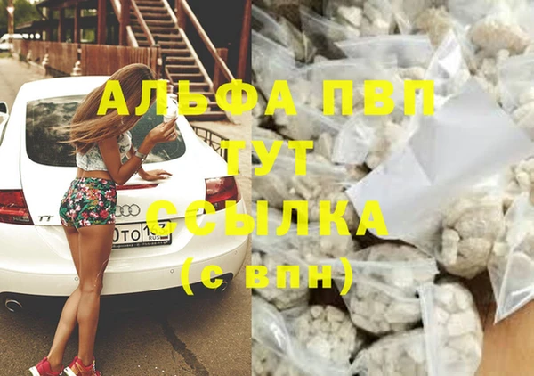 spice Зерноград