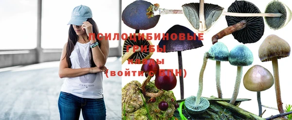 скорость Зеленокумск