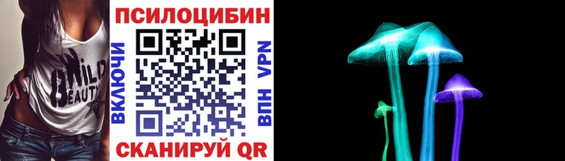 Псилоцибиновые грибы Psilocybe  Тара 