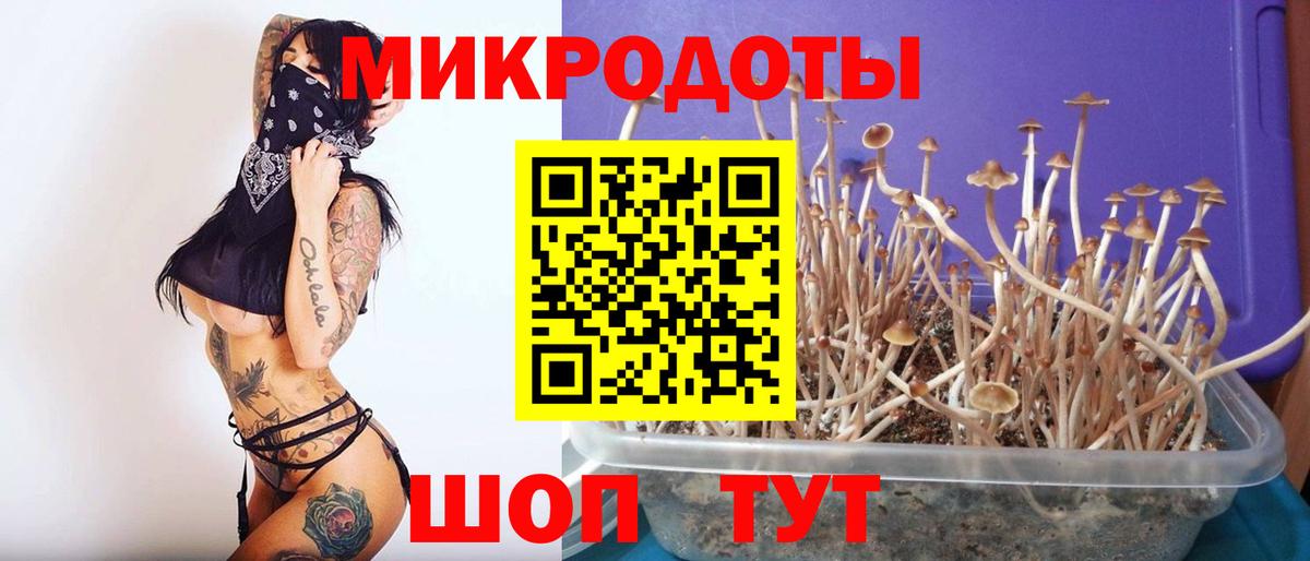 Галлюциногенные грибы Cubensis Тара